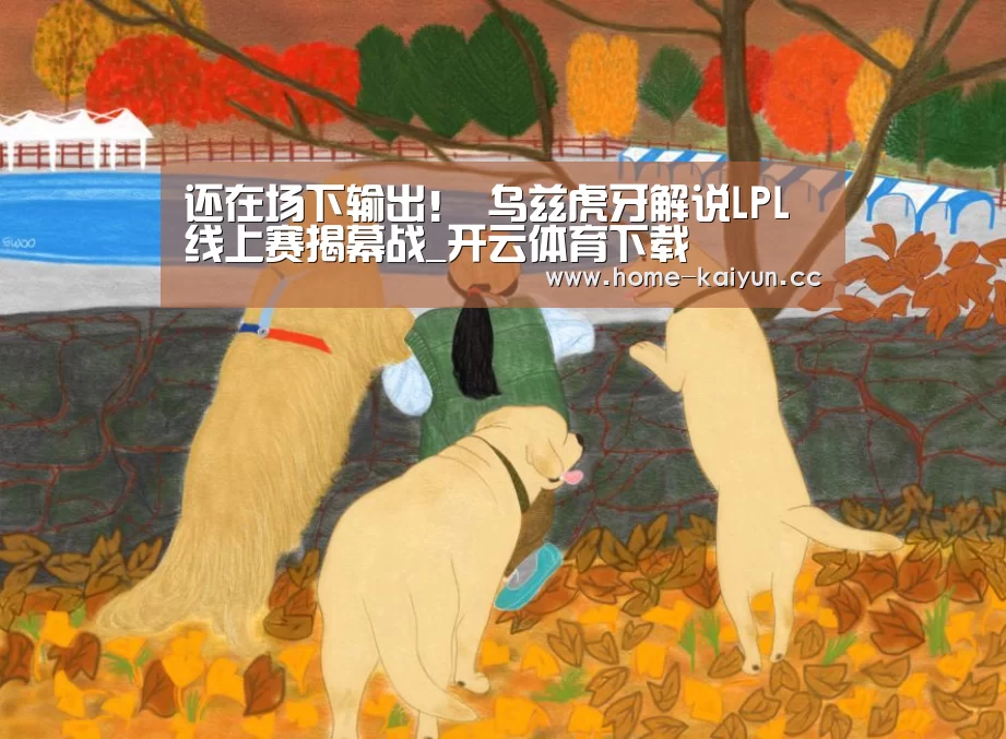 开云App下载