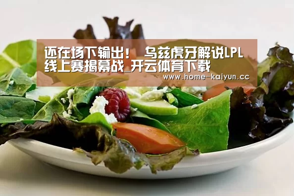 开云体育下载